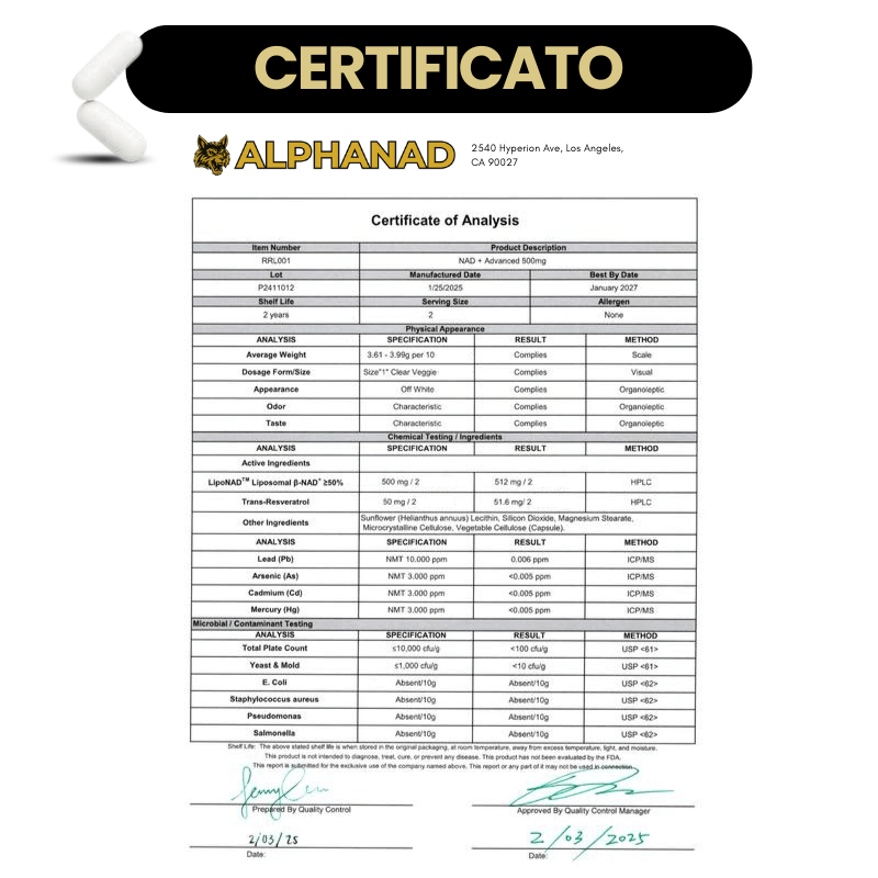 NAD+ Puro In Gomme
